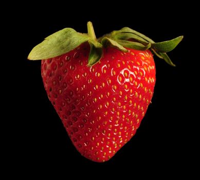 Single red strawberry against black background. Square