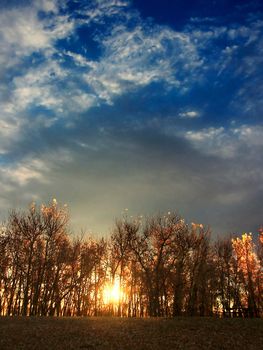 Autumn Sunrise with Trees Backlit