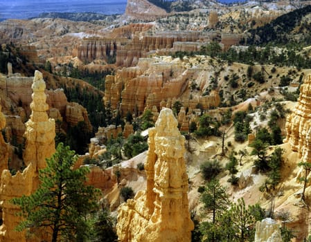 Bryce Canyon in Utah with limestone rock formations