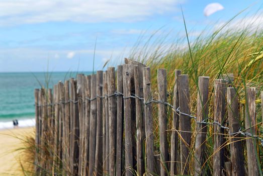 Old wooden fence on a beach in Brittany, France