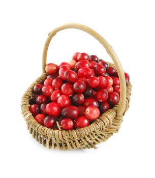 Fresh red cranberries in basket on white background