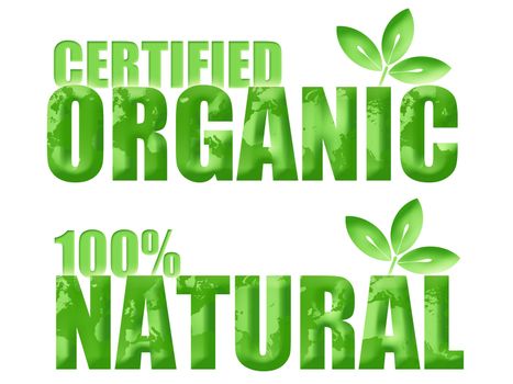Certified Organic and 100% Natural Symbols with Leaf and World Illustration