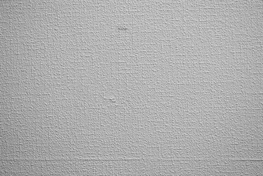 A White Canvas texture. Good for backgrounds.