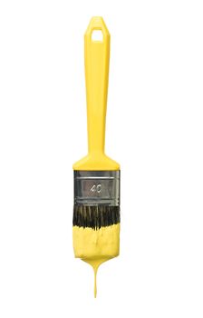 Yellow Paintbrush isolated on a white background