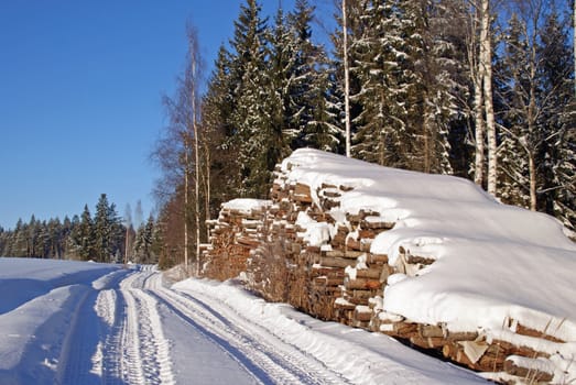 A stack of logs waiting for transport by a forest road in winter. Photographed in Salo, Finland in January 2011.