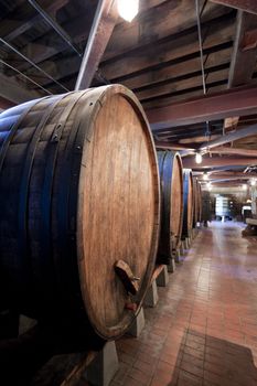 Large wine barrels used for fermentation of grapes