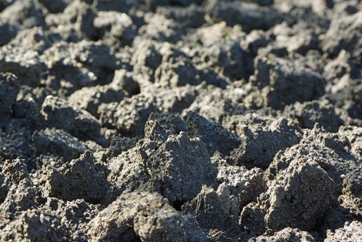 Cultivated soil background in early morning light