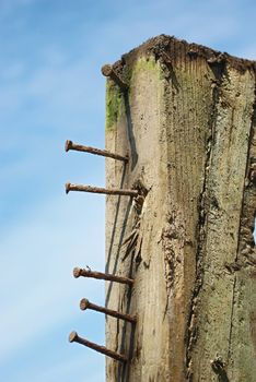 Textured surface of wooden beam with a curved rusry nails