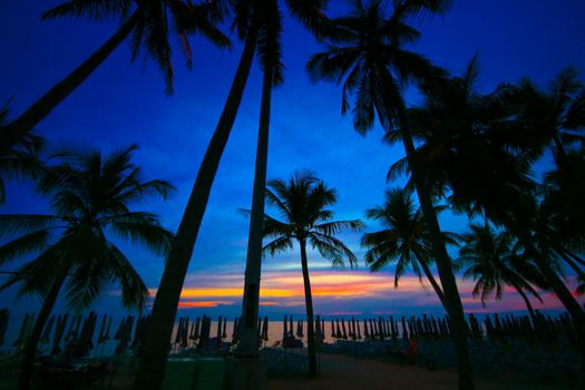 coconut trees silhouette at sunset,Thailand