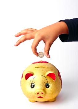 Hand  putting money into saving pig, finance theme