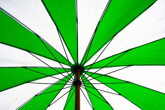 White and green umbrella