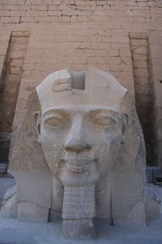 Sphinx head Luxor Temple, Luxor Egypt