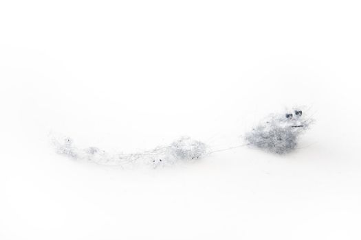 Room dust on a white background