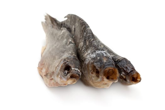 Dried fish, roech insulated on white background