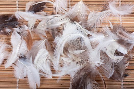 A heap of soft feathers on a straw background