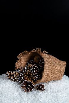 Image of the bag on the snow, spilled out of it with fir cones
