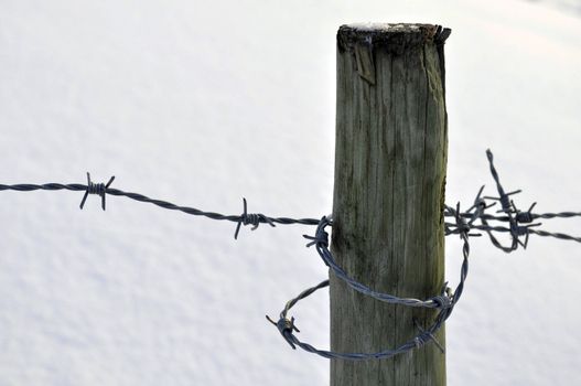 a barbed wire in winter