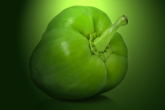 Close up capturing a single green bell pepper with green filter light effect background.