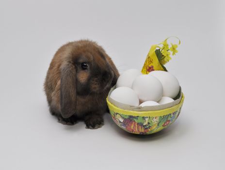 a rabbit and easter decoration