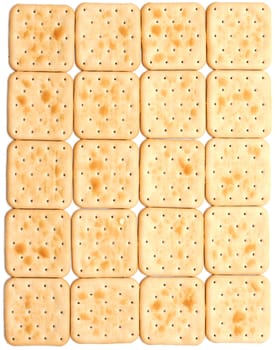 Cookie of the cracker put on white background