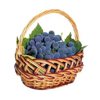 wicker basket with brushes of dark grapes isolated on white background