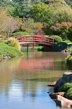 beautiful and tranquil japanese style garden with red bridge in toowoomba