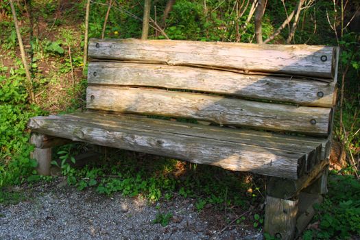 empty bench in forest with afternoon sun rays