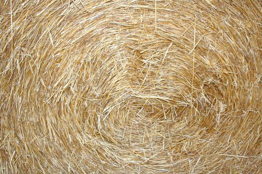 close up of hay bale