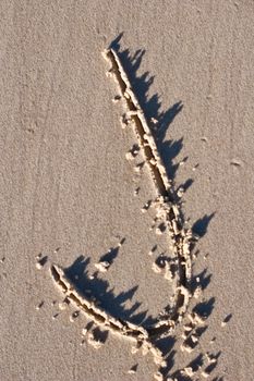  Letter J drawn in the sand. 
