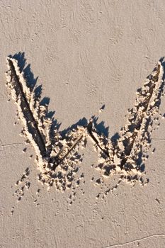Letter W drawn in the sand. 