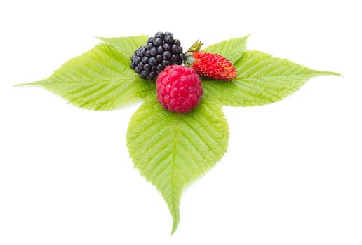 strawberry, blackberry and raspberry on leaf, isolated on white