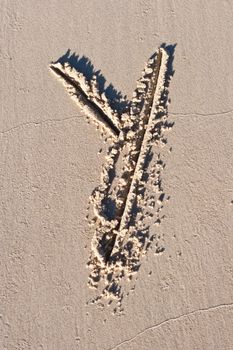 Letter Y drawn in the sand.