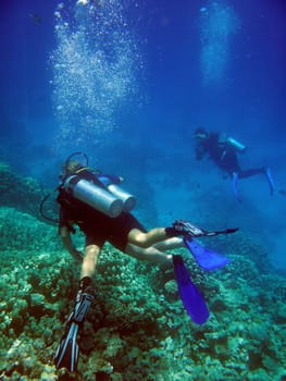 Red sea, Sharm El Sheikh, Egypt