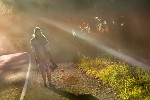 Sun beaming down on a misty road. 