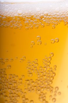 Orange beer with bubbles and white froth background. Closeup view.