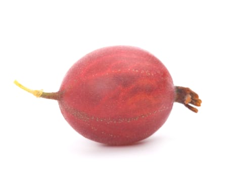 Red gooseberries on a white background. 