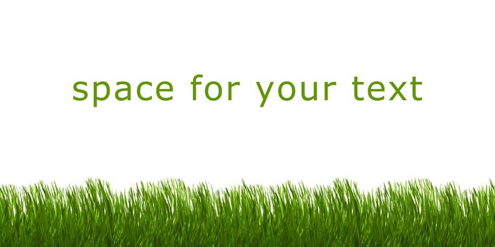 An image of green grass with space for your text