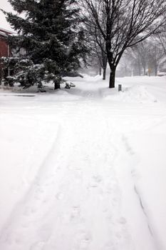 A fresh snow fall in the suburbs, featuring snow covered side walk with a single set of footprints.
