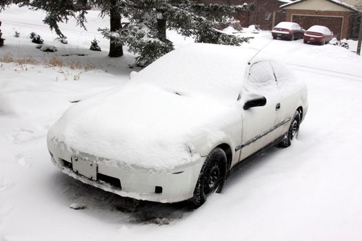 A car sitting in a driveway completely covered in snow.