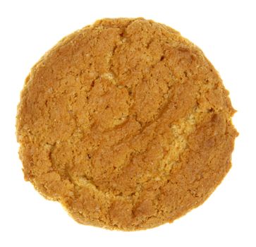 An gingersnap cookie isolated on white.