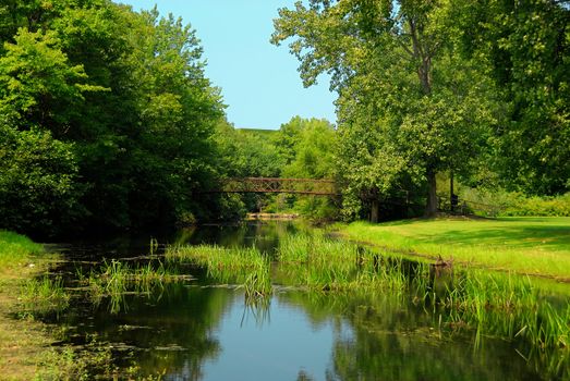 Landscape of a local park during the summer and spring season