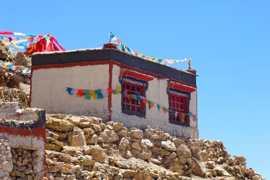 View of typical Tibetan buildings on the hills