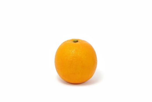 Single fresh orange