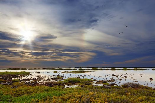 Dramatic skies at the lake on Bonaires south coast, Caribbean