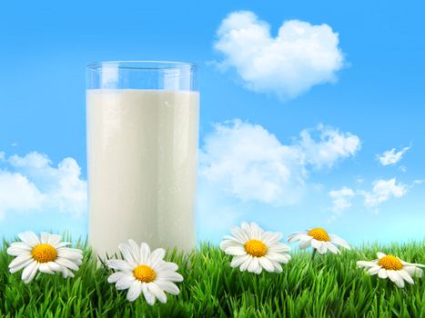 Glass of milk in the grass with daisies and blue sky