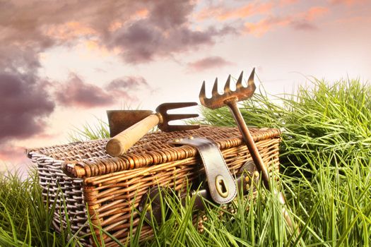 Wicker basket with garden tools in grass