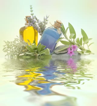 spa treatment with natural herbs and essences
