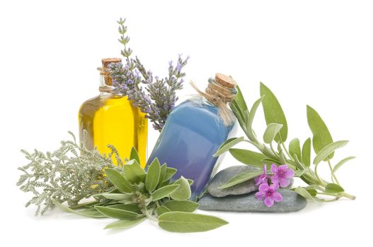 spa still life with perfumes and aromatic herbs
