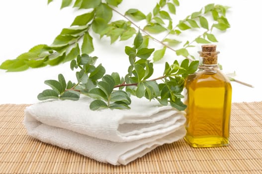 spa still life with perfumes and aromatic herbs
