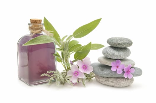 spa still life with perfumes and aromatic herbs
